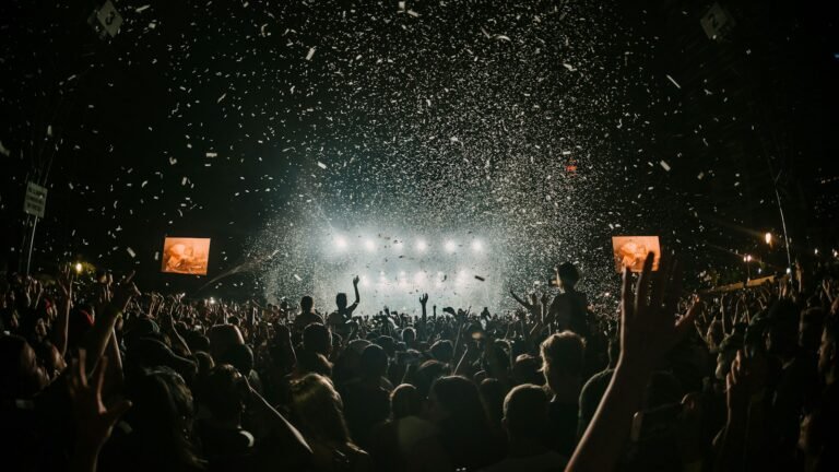 Public rassemblé devant la scène d'un festival en plein air